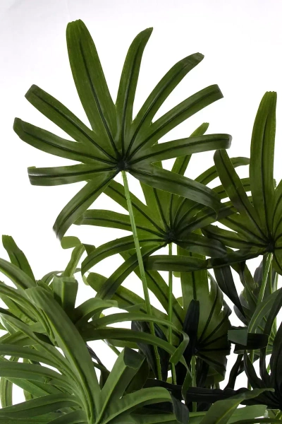 Sztuczna palma Rapis 155 cm