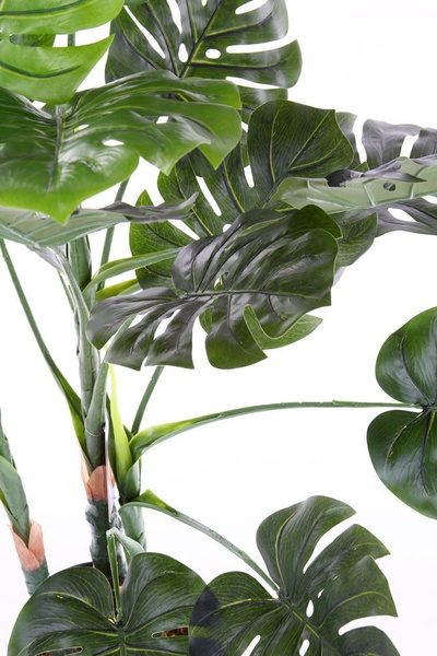 Sztuczna Monstera dziurawa deliciosa 110 cm duże liście