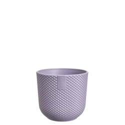 Jazz Elho 9 osłonka mini lawendowa