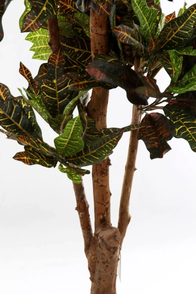 Sztuczny Kroton Bonsai deluxe 175 cm