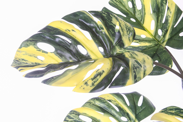 Sztuczna Monstera dziurawa Variegata zielono-żółta 120 cm