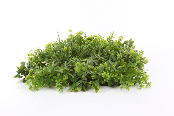 Sztuczna zielona ściana panel roślinny Szeflera 50x50 UV wodoodporna