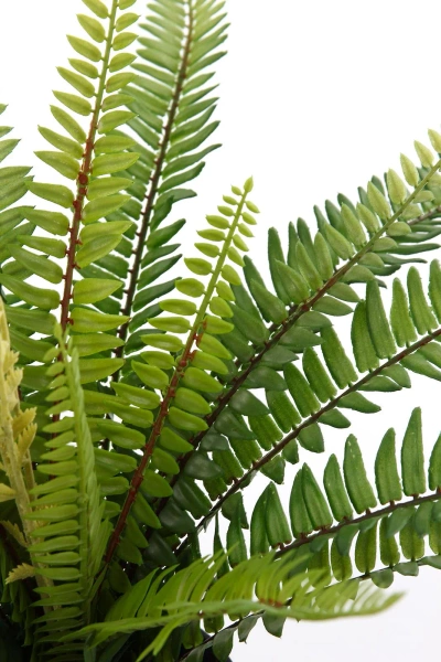 Sztuczna Paproć Boston 65 cm w doniczce