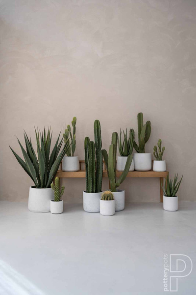 Patt XL 23/19 doniczka kamienna biała