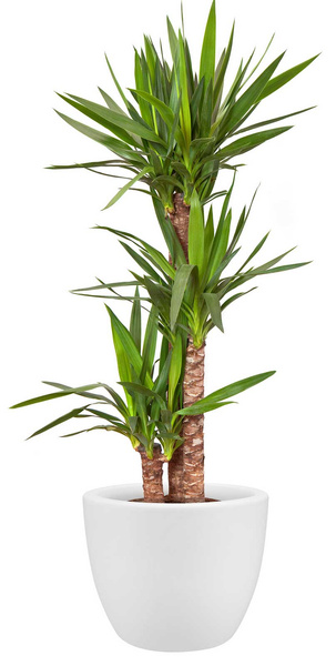 Pure Soft Round 50/38 duża donica biała