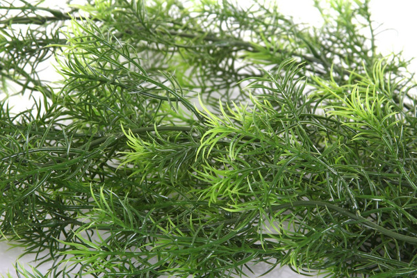 Sztucznu Asparagus wiszący pnącze 75 cm zielony