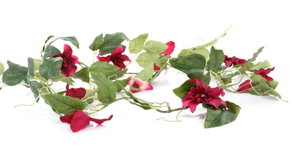 Sztuczny Powojnik Clematis girlanda 180 cm fuksja