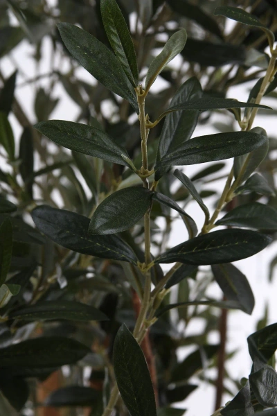 Sztuczna Oliwka 180 cm deluxe