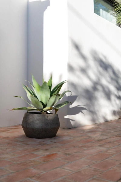 Harley Low S 36/21,5 niska donica szarobrązowa dioriet grey