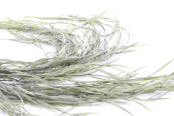 Sztuczna Hoya pnącze 85 cm