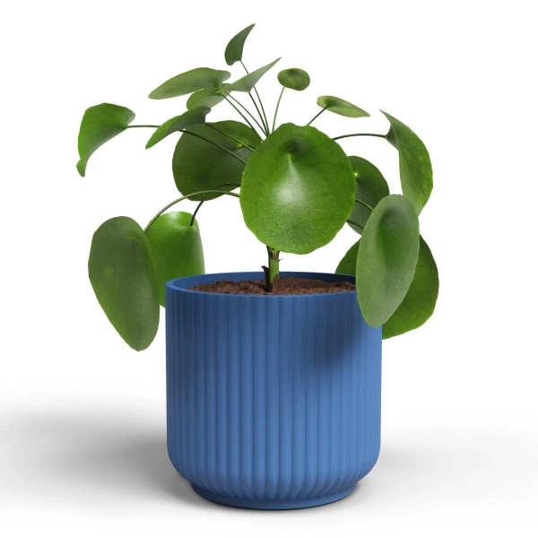 Luna 8/8 mini osłonka ceramiczna niebieska