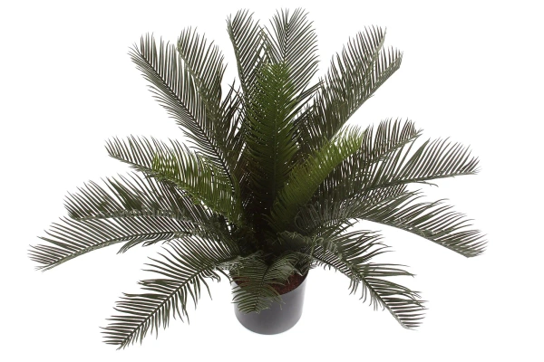 Sztuczny Cycas 60 cm deluxe UV