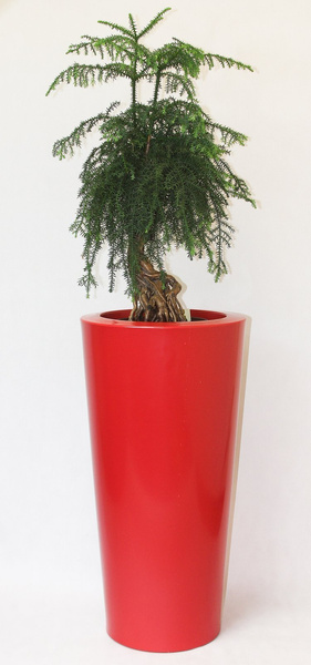 ILIE GLOSS 37/75 donica okragła wysoka czerwona półpołysk