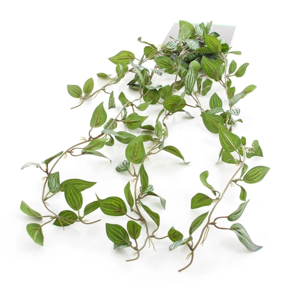 Sztuczna Peperomia pnącze 85 cm
