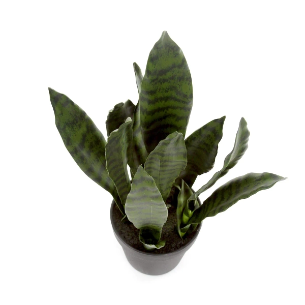 Sztuczna Sansewieria 50 cm zielona