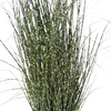 Sztuczna trawa wysoka Miskant 110 cm w doniczce