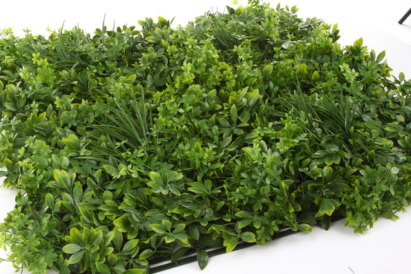 Sztuczna zielona ściana panel roślinny Szeflera 50x50 UV wodoodporna