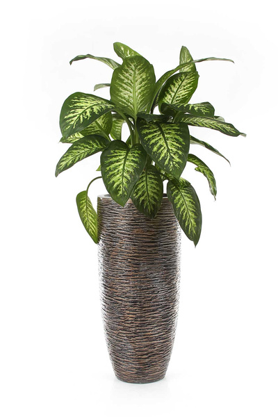 UNIVERSE WRINKLE PARTNER 34/75 ekskluzywna donica wysoka brązowy