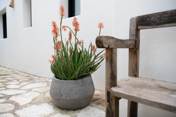 Harley Low S 36/21,5 niska donica szarobrązowa dioriet grey