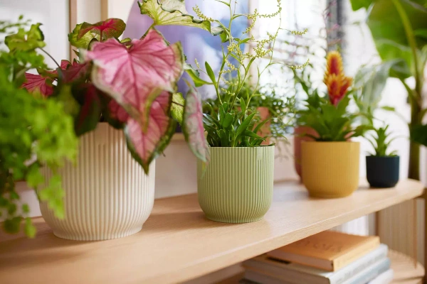 Zestaw do hydroponiki 9/7 osłonka Vibes 9 kolor mięty