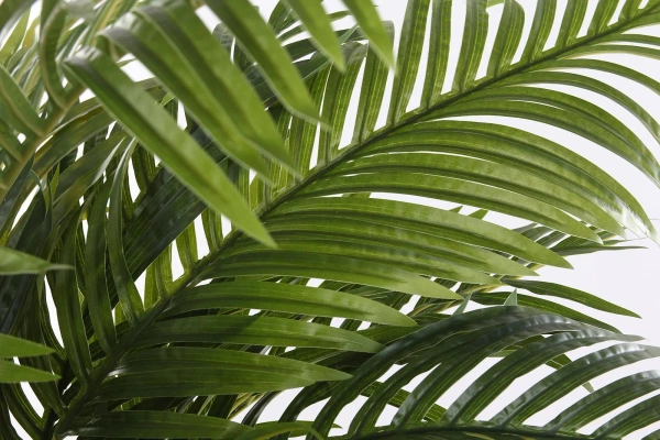 Sztuczna palma Areka 130 cm