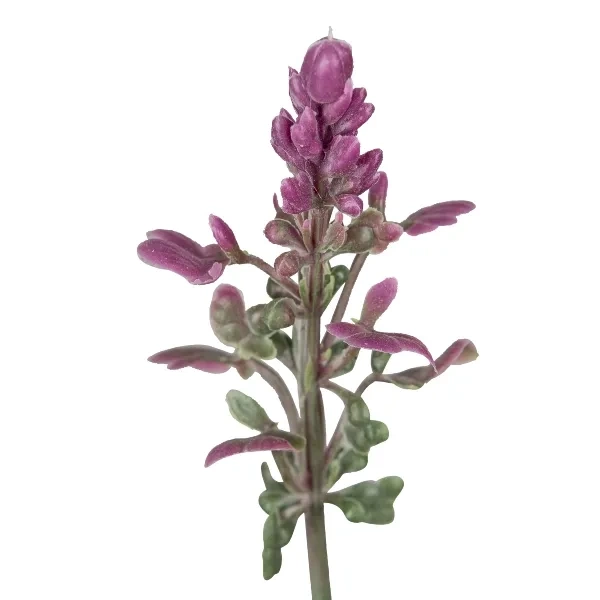 Sztuczna szałwia różowa 39 cm w doniczce zioła