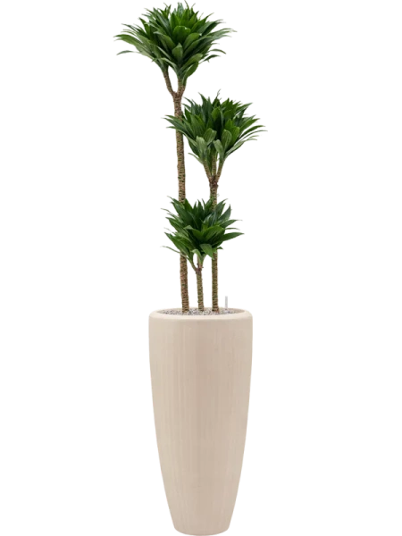 POLYSTONE PARTNER 37/90 wysoka donica naturalna kremowa