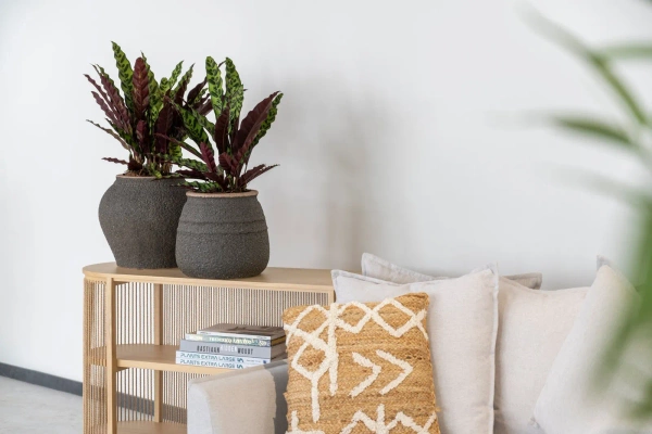 Poseidon L 63/58 duża grecka donica kamienna umber brown