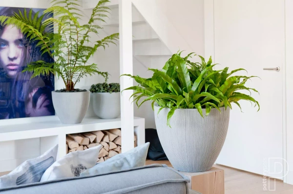 Jesslyn XS 42/35 donica w prążki ciemnoszara