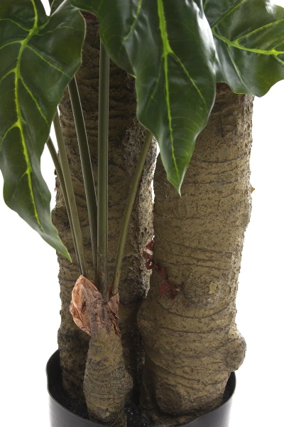 Sztuczna Alokazja drzewko 180 cm 22 liście gruby pień