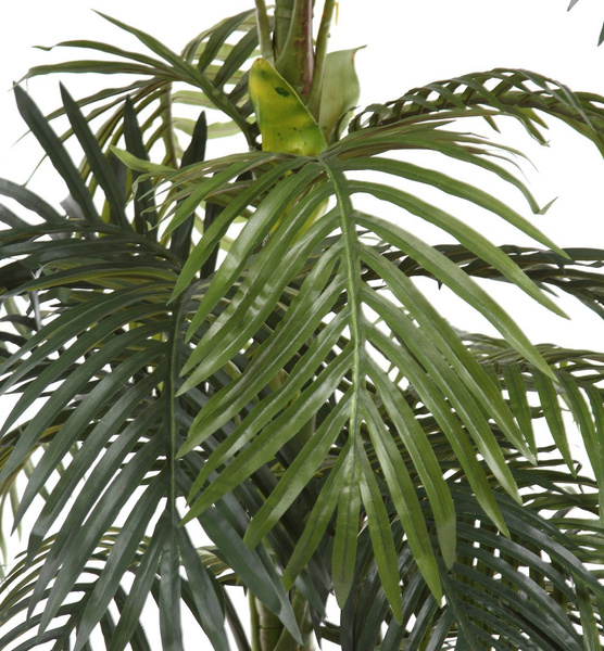 Sztuczna palma Areka 120 cm rozpiętość 80 cm