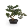 Sztuczny Bonsai Cedr 40x40 cm w doniczce