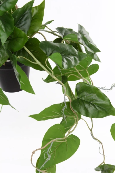 Sztuczny Filodendron Scandens wiszący 80 cm w doniczce