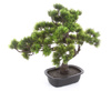 Sztuczne drzewko Bonsai Sosna Pinia 40 cm w doniczce