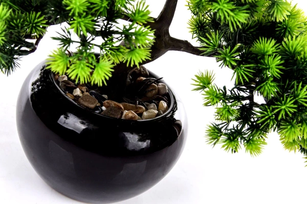 Sztuczny Bonsai Larch Modrzew 26 w czarnej doniczce ceramicznej