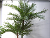 Sztuczna palma Areka 240 cm De Luxe