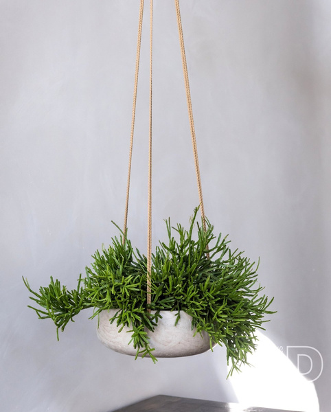 Eileen S 24/9 wisząca doniczka misa kamienna czarna