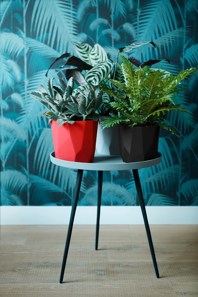 B. For Rock 16 czarna osłonka designerska