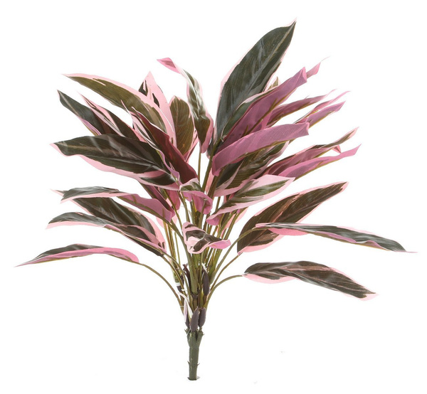 Sztuczna Kordylina 48 cm Bush x36