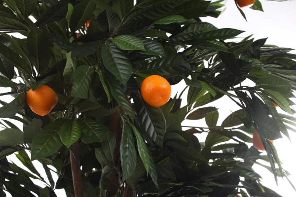 Sztuczne drzewko Mandarynkowe 140 cm cytrusy