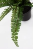 Sztuczna Paproć Boston 65 cm w doniczce