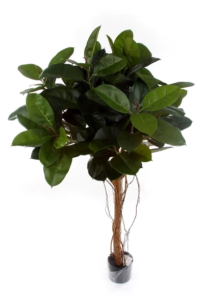 Sztuczne drzewko Fikus Elastica 155 cm 141 liści drewniany pień