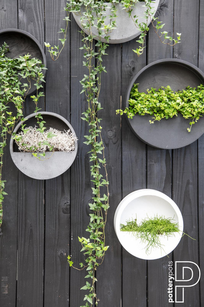 Wally M 50/10 designerska doniczka na ścianę czarna