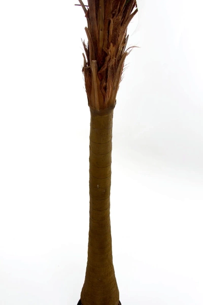 Sztuczna Palma wysoka 225 cm