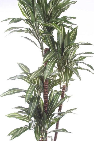 Sztuczna dracena fragrans variegated 150 cm 81 liści