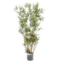 Sztuczny bambus Oriental 100 cm naturalne łodygi bambusa 960 liści