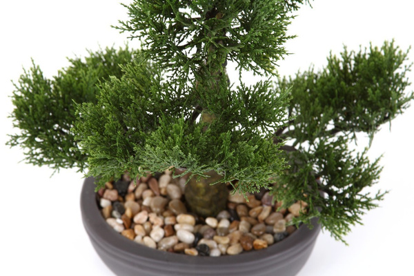 Sztuczne drzewko Bonsai Cedr 32 cm w brązowej doniczce