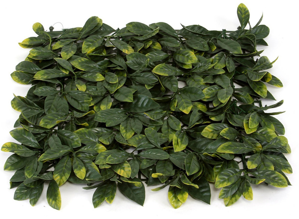 Sztuczna zielona ściana mata Śliwka Plum 50x50 UV wodoodporna