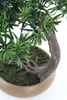 Sztuczny Bonsai Podocarpus Shankan 60/50 cm