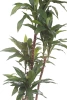 Sztuczna dracena fragrans 150 cm 81 liści drewniany pień